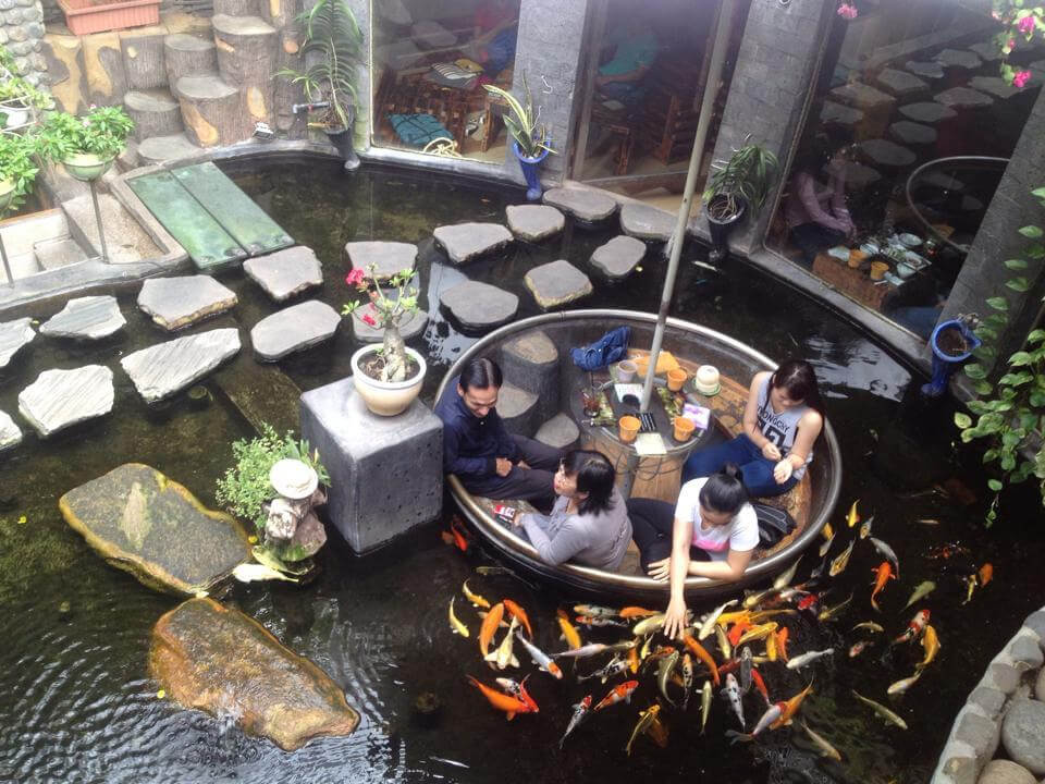 Cà phê sân vườn có hồ cá koi đẹp