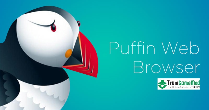Một số đặc điểm, tính năng nổi bật của Puffin Browser gồm có: