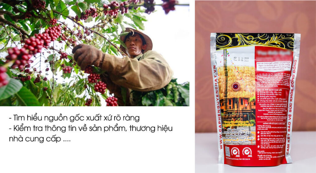 [2021] Tất tần tật về Các loại Hạt cà phê có ở Việt Nam
